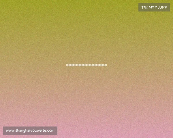 辽宁宏运足球队赛事全程回顾球员表现亮点与未来赛程前瞻分析